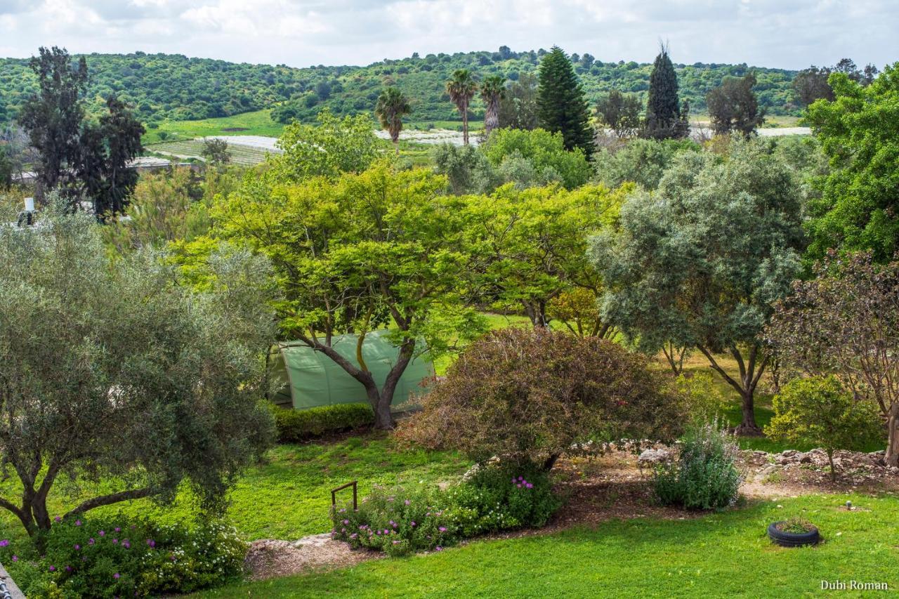 Amikam Meshek 81 משק 81 עמיקם Villa Bagian luar foto