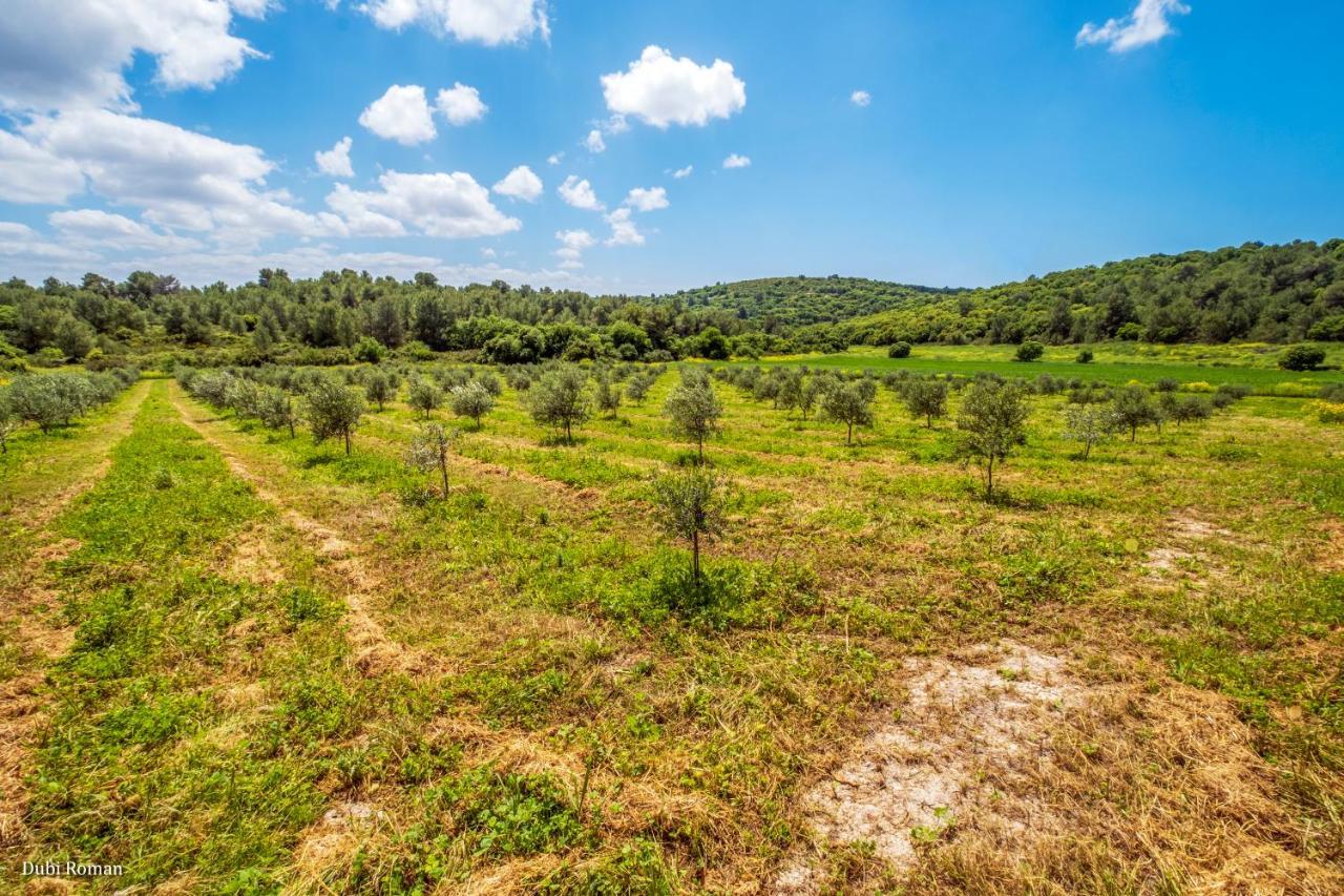 Amikam Meshek 81 משק 81 עמיקם Villa Bagian luar foto