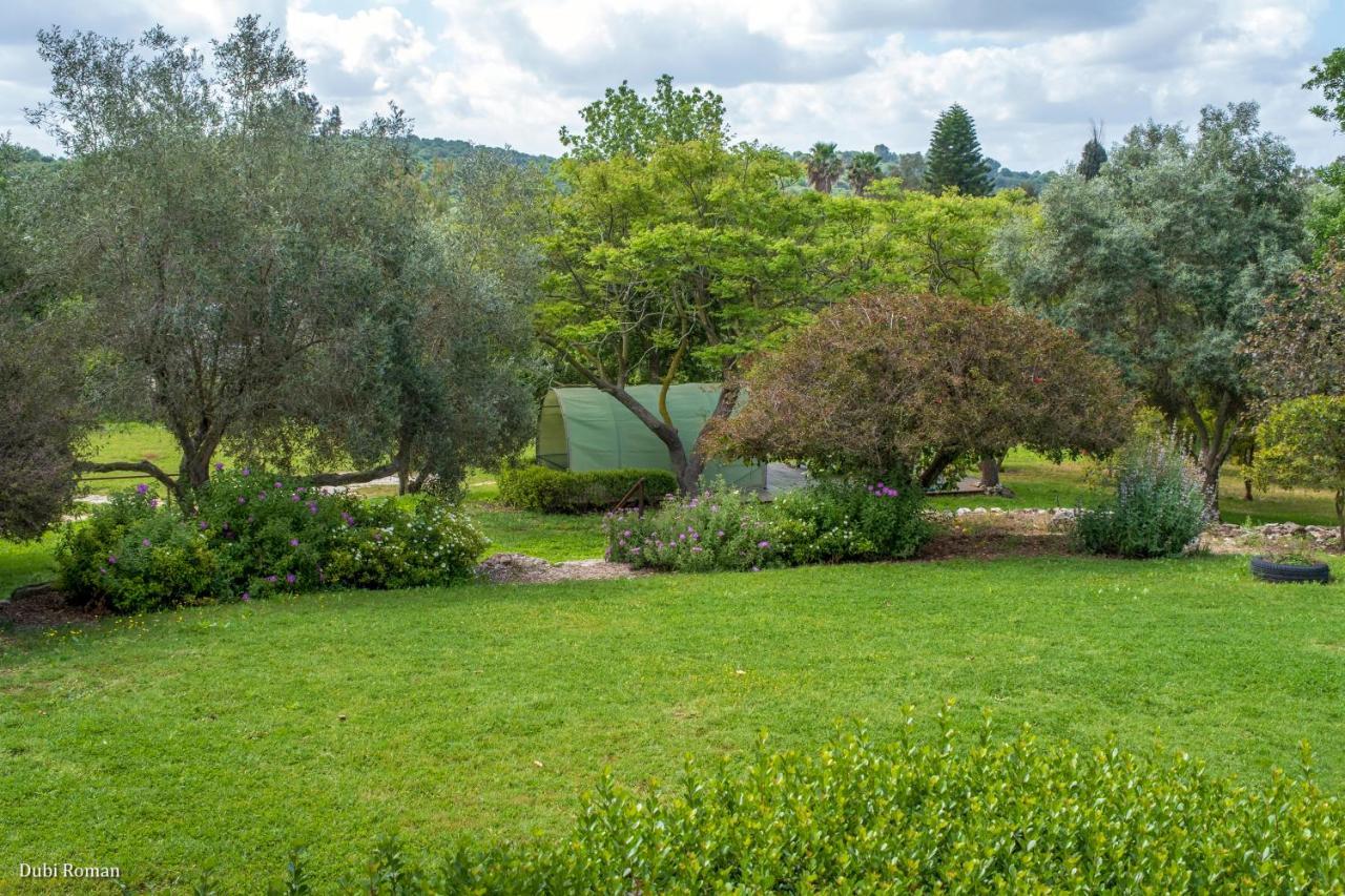 Amikam Meshek 81 משק 81 עמיקם Villa Bagian luar foto