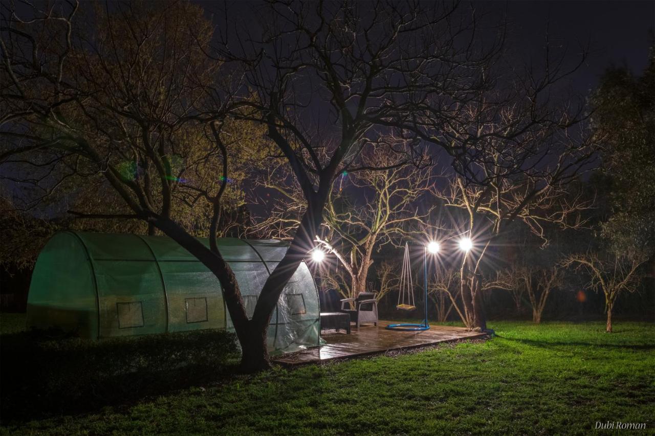 Amikam Meshek 81 משק 81 עמיקם Villa Bagian luar foto