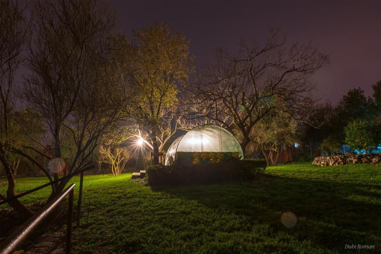 Amikam Meshek 81 משק 81 עמיקם Villa Bagian luar foto