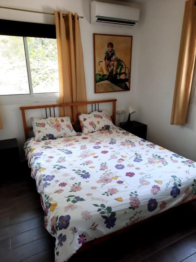 Amikam Meshek 81 משק 81 עמיקם Villa Bagian luar foto