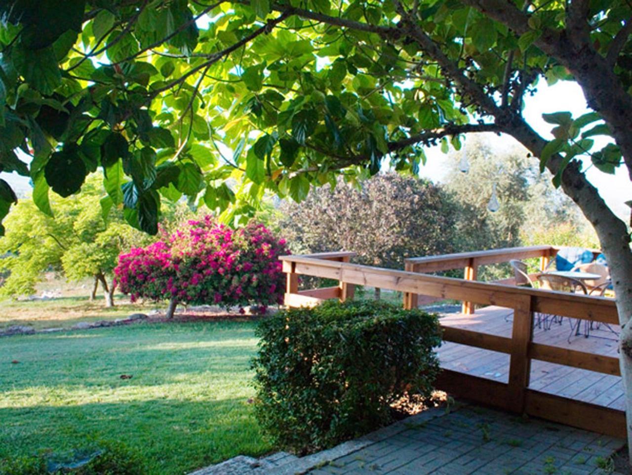 Amikam Meshek 81 משק 81 עמיקם Villa Bagian luar foto