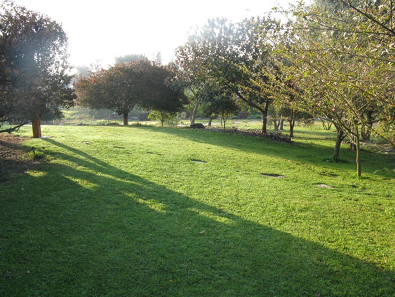 Amikam Meshek 81 משק 81 עמיקם Villa Bagian luar foto